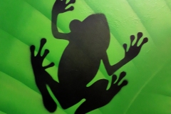 s-frog