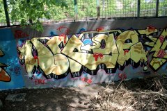 IMG_3920