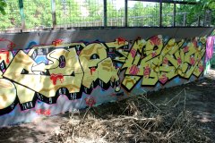 IMG_3921