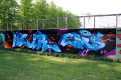IMG_3934