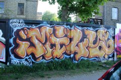 IMG_3941
