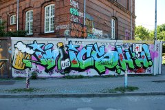 IMG_4011
