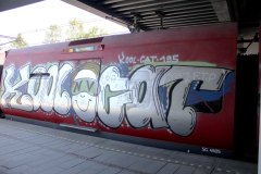 IMG_4065