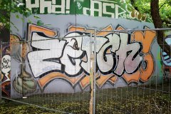 IMG_4105
