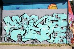 IMG_4113