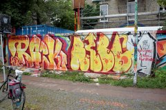 IMG_4135