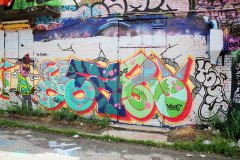 IMG_4175