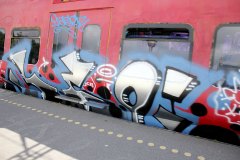 IMG_4207
