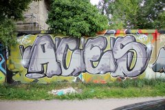 IMG_4220