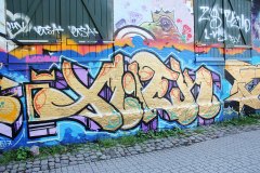 IMG_4237