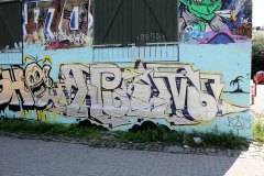 IMG_4239