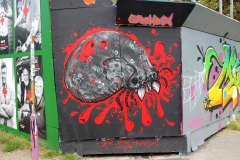 IMG_4249