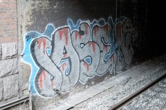 IMG_4255