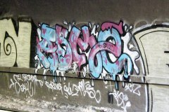 IMG_4256
