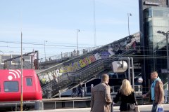 IMG_4260