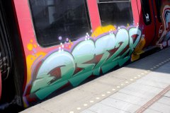 IMG_4260rnd