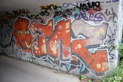 IMG_4277