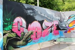 IMG_4381