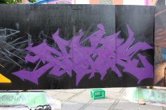 IMG_4413