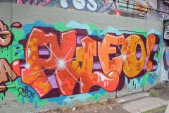 IMG_5995