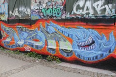 IMG_6160